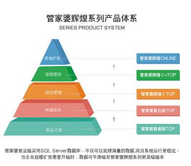 新澳门管家婆一句,新澳门管家婆一句，揭示背后的秘密与魅力