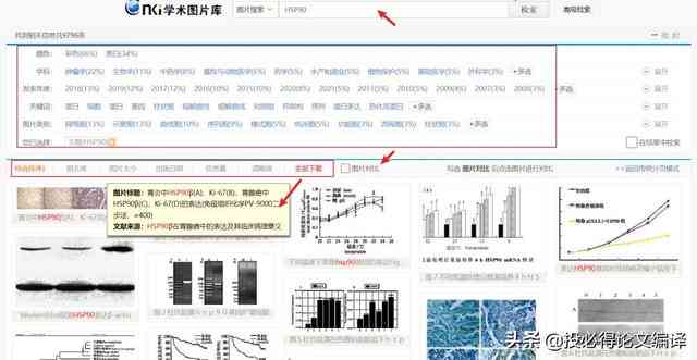 正版资料全年资料查询,正版资料全年资料查询，助力学术研究与工作发展的必备工具