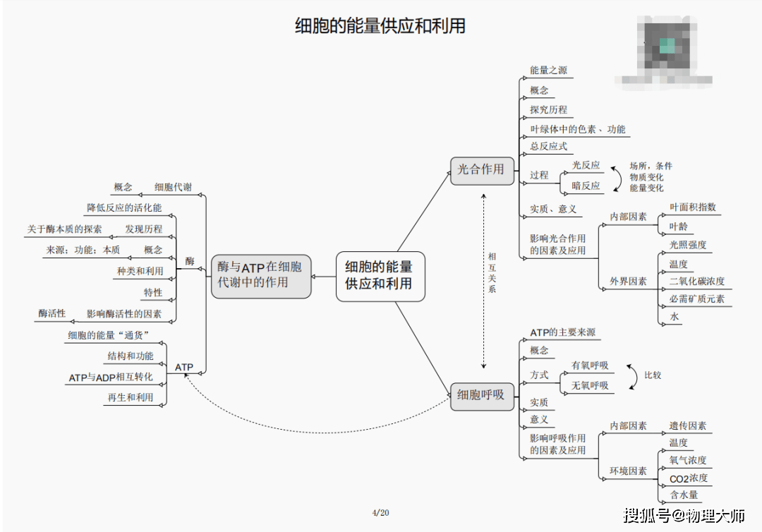 管家婆三肖三期必出一期MBA,管家婆三肖三期必出一期MBA，揭秘背后的秘密逻辑与策略